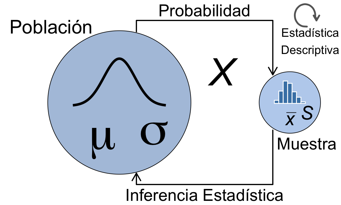 Variables aleatorias vs. datos empíricos